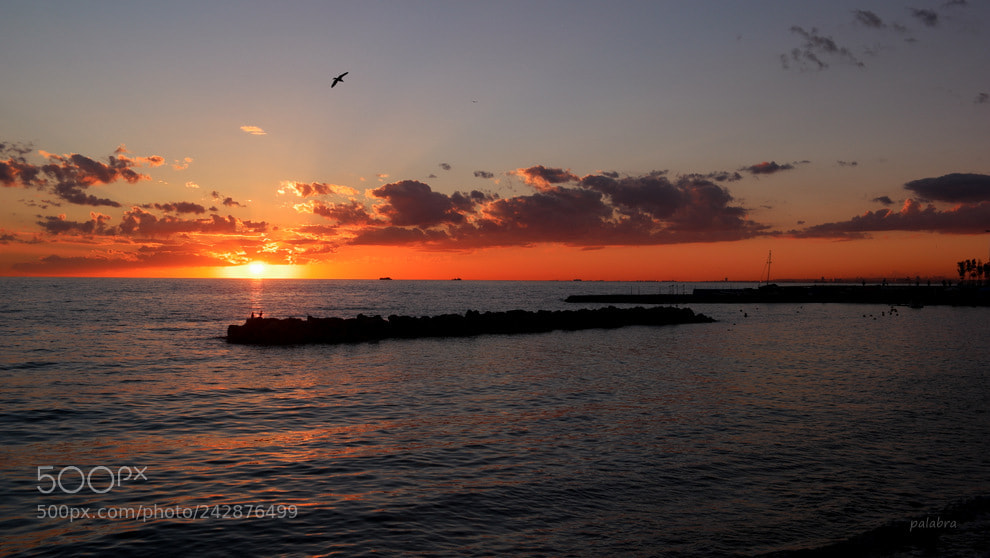Samsung NX1 sample photo. ... photography