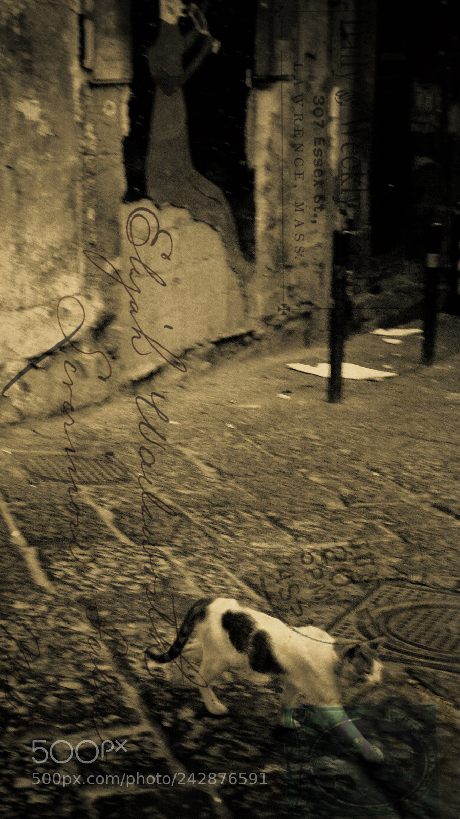 Sony Cyber-shot DSC-H300 sample photo. Naples, italy photography
