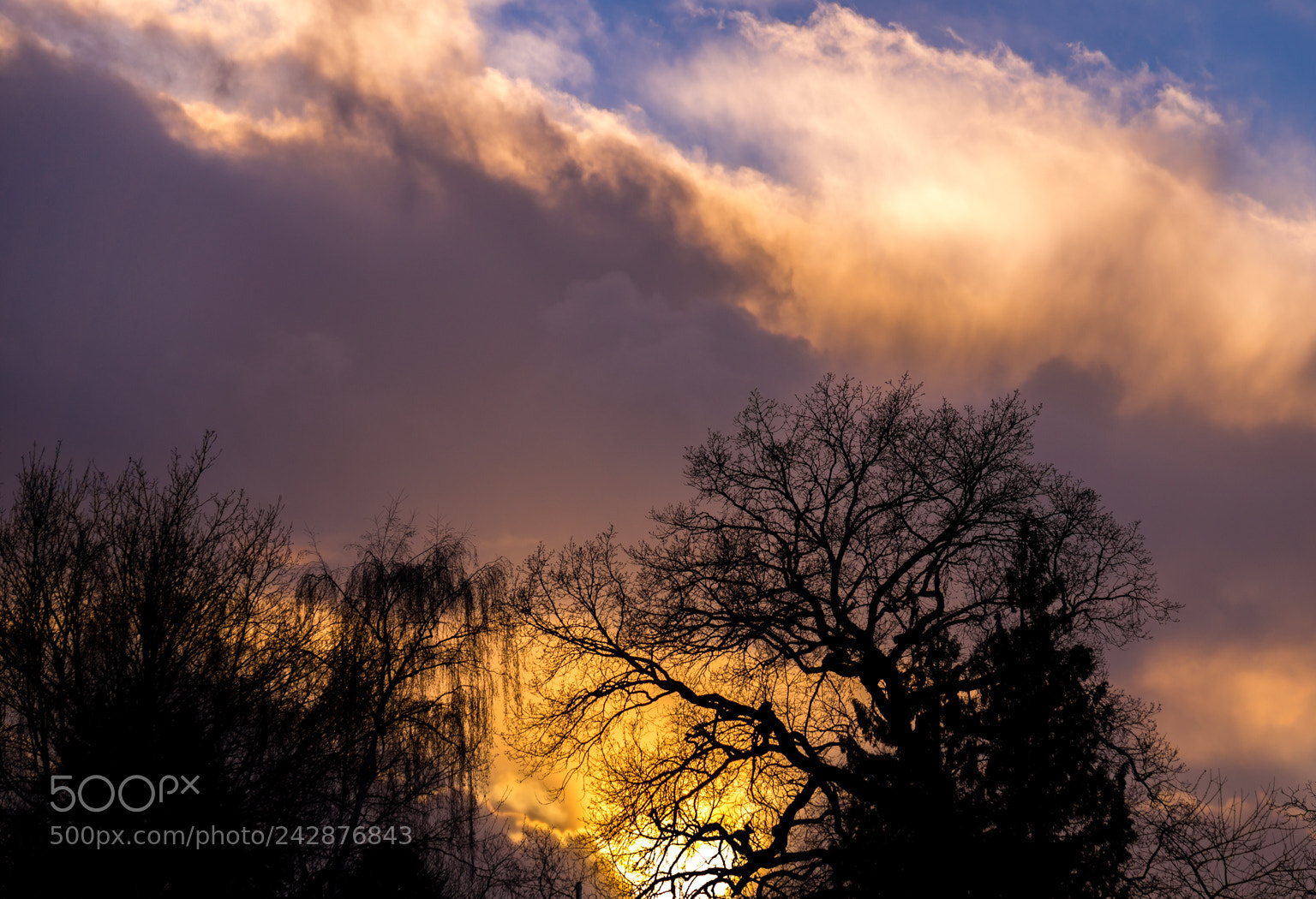 Sony SLT-A58 sample photo. Vanilla sky photography