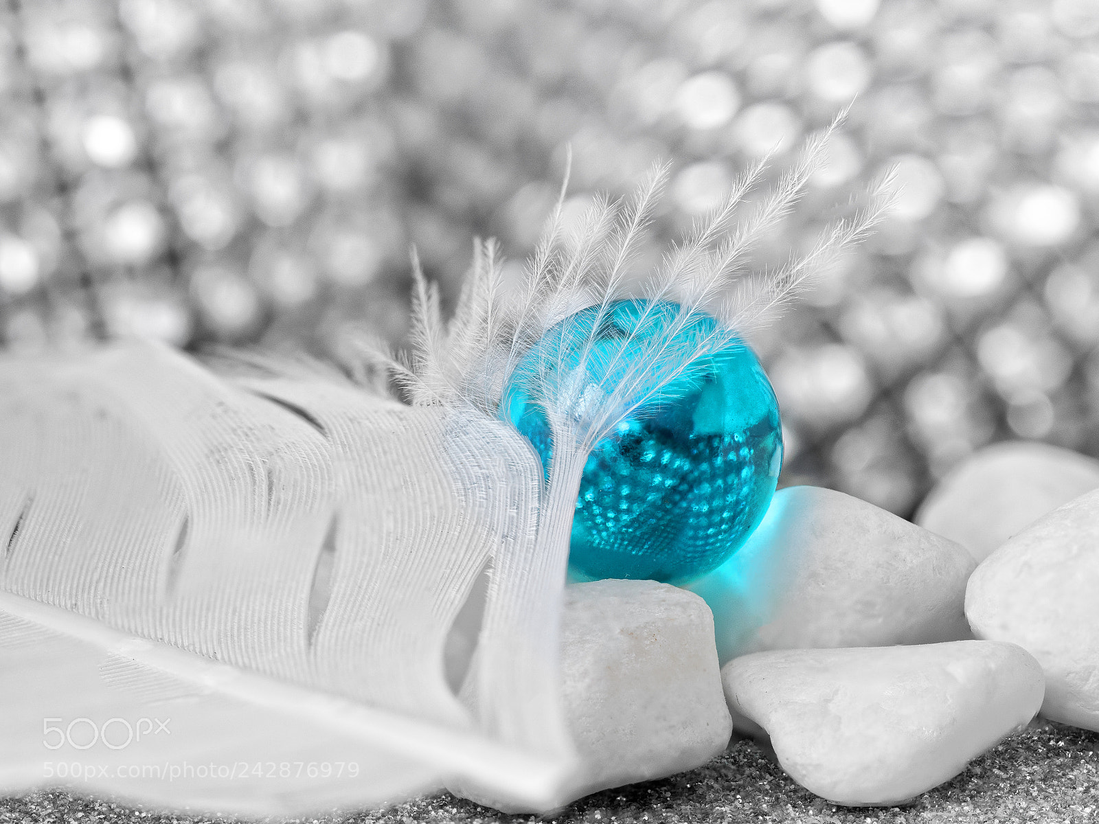 Olympus OM-D E-M10 III sample photo. A touch of blue photography