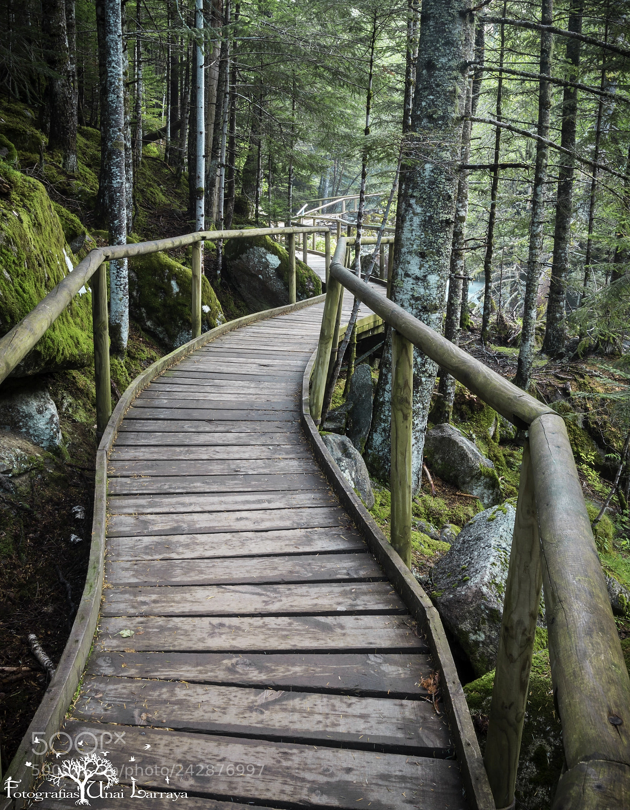 Canon EOS 7D Mark II sample photo. Caminos magicos. photography
