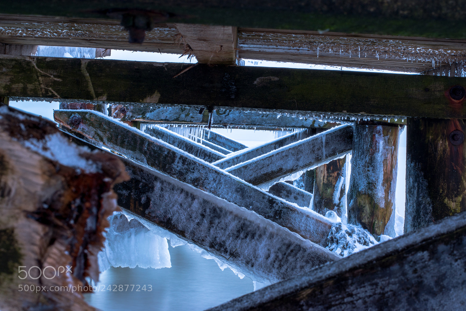 Nikon D5600 sample photo. 519-13.jpg photography