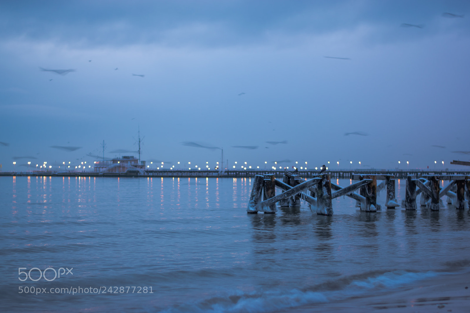 Nikon D5600 sample photo. 521-15.jpg photography