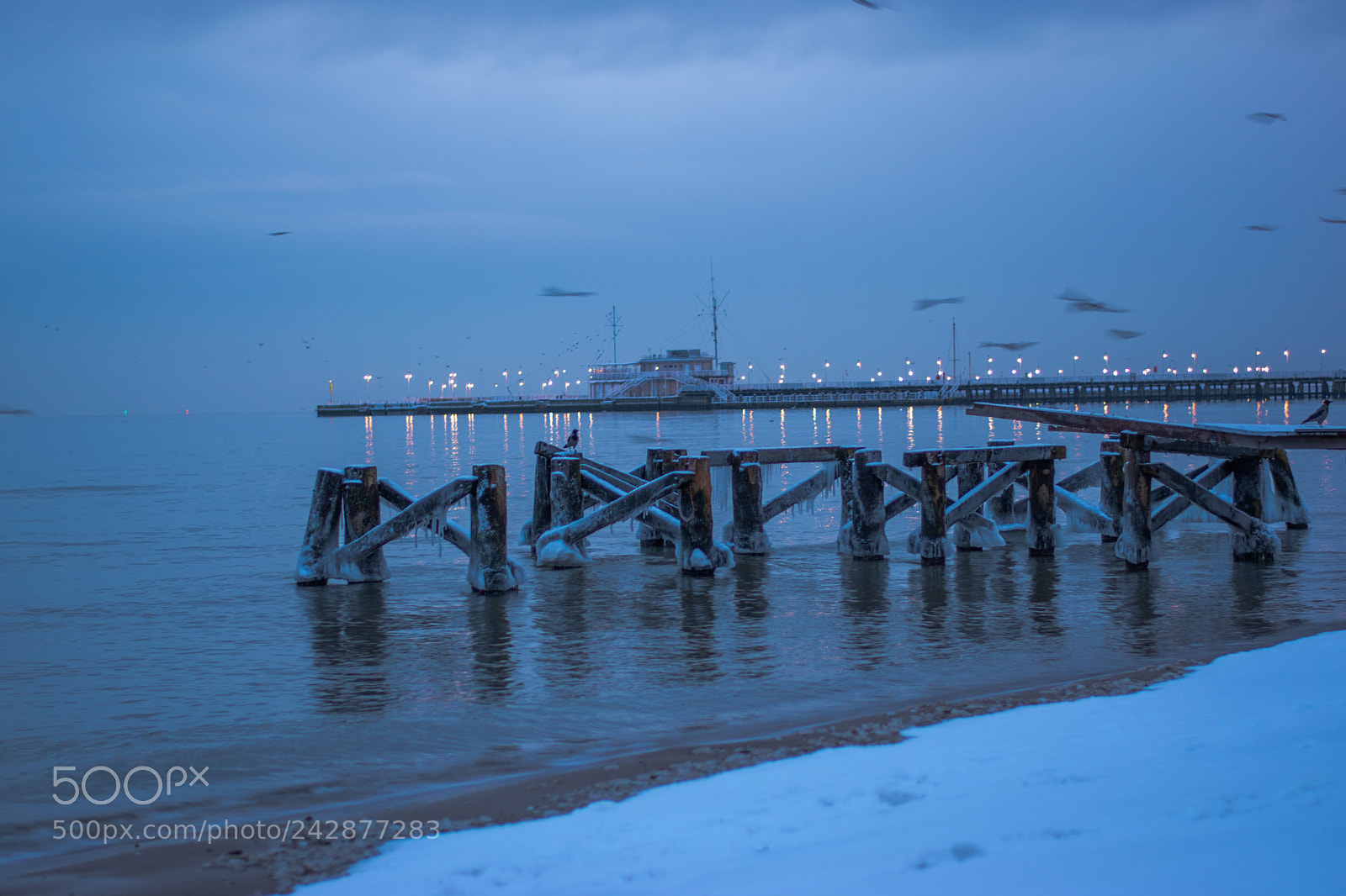 Nikon D5600 sample photo. 522-16.jpg photography