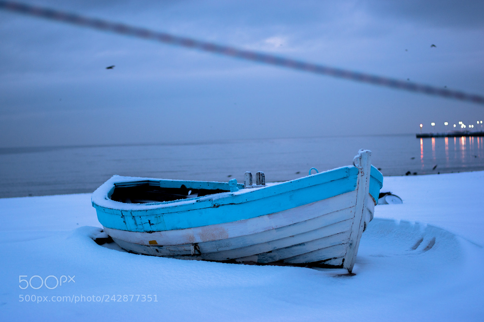 Nikon D5600 sample photo. 523-2.jpg photography