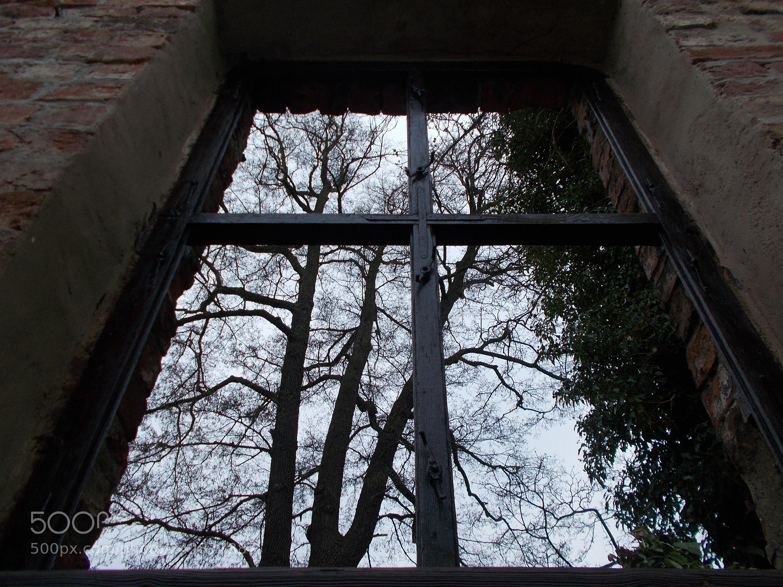 Nikon Coolpix L31 sample photo. Look up photography