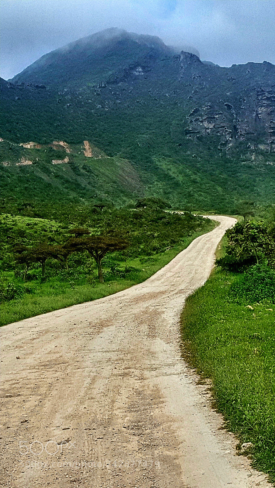 Samsung Galaxy Note5 sample photo. Untitled photography