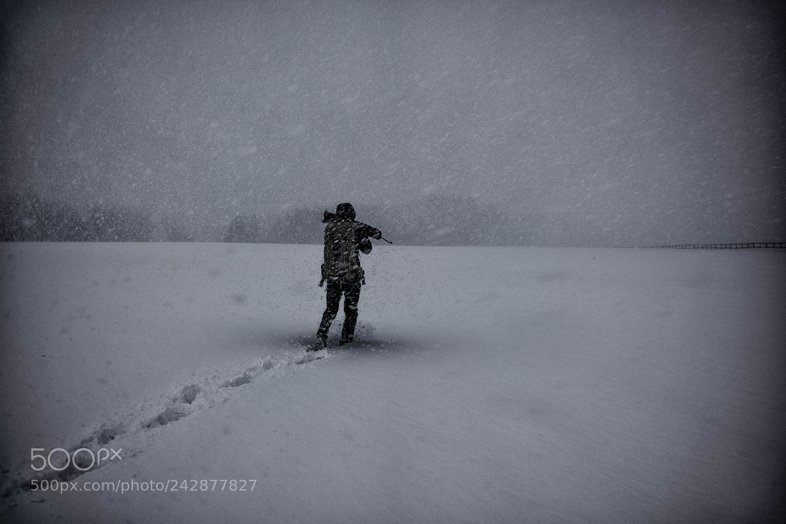 Sony Cyber-shot DSC-RX1R II sample photo. Everwinter dreams. photography