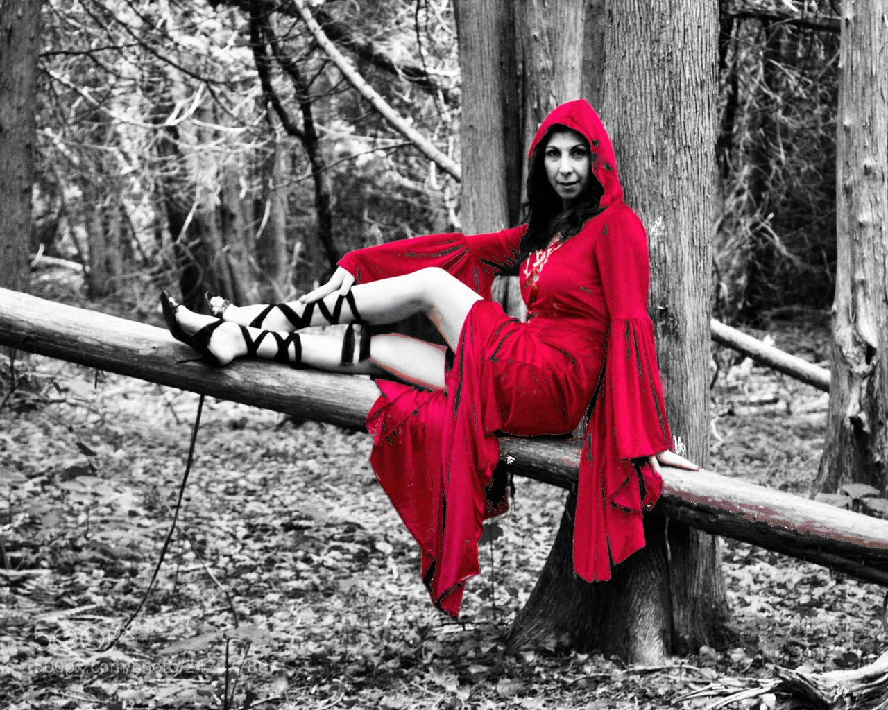 Canon EOS 60D sample photo. Chris red photography