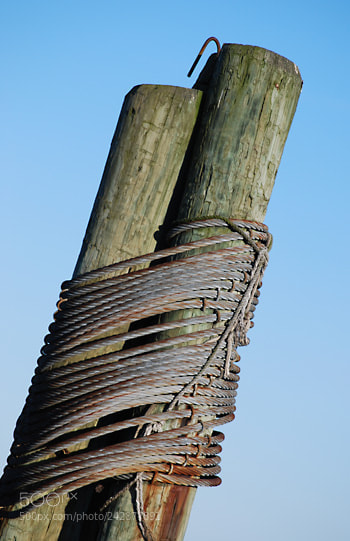 Nikon D60 sample photo. Td photography