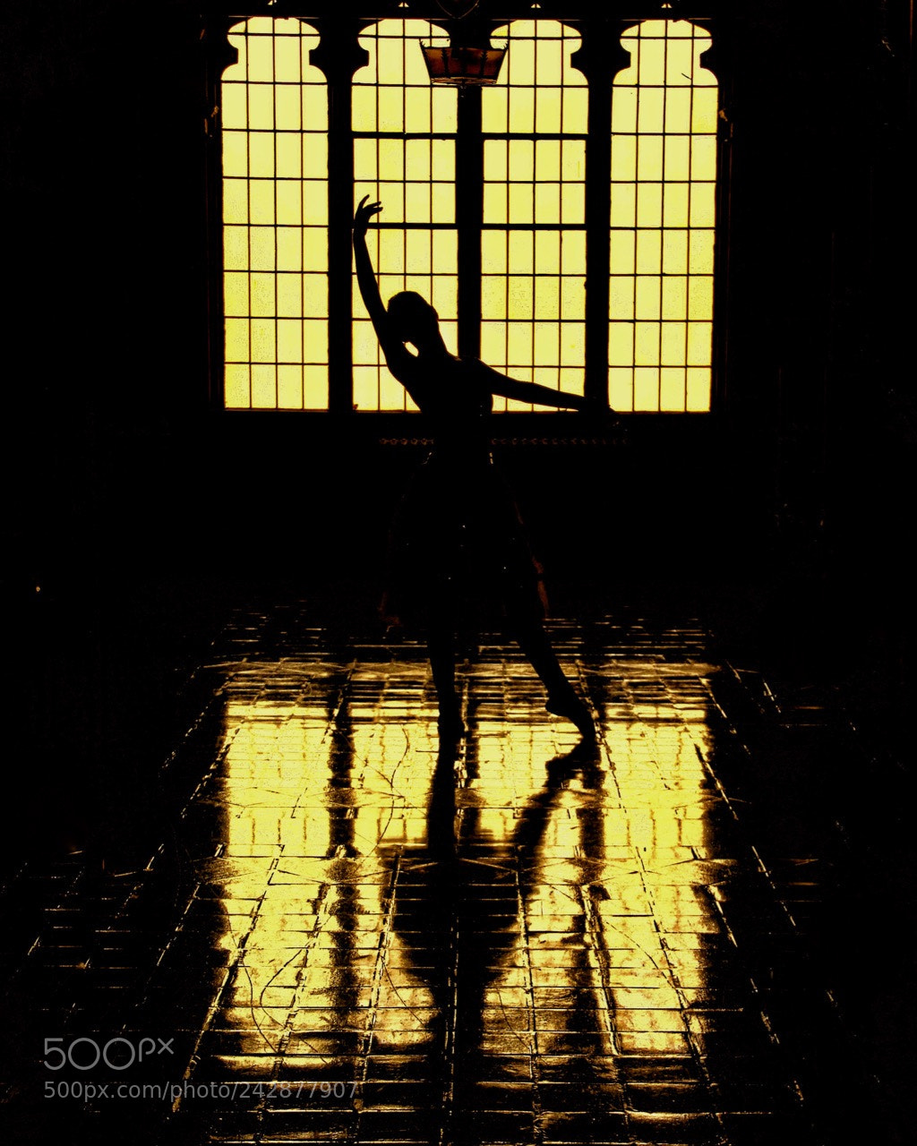 Canon EOS 60D sample photo. Kass a photography