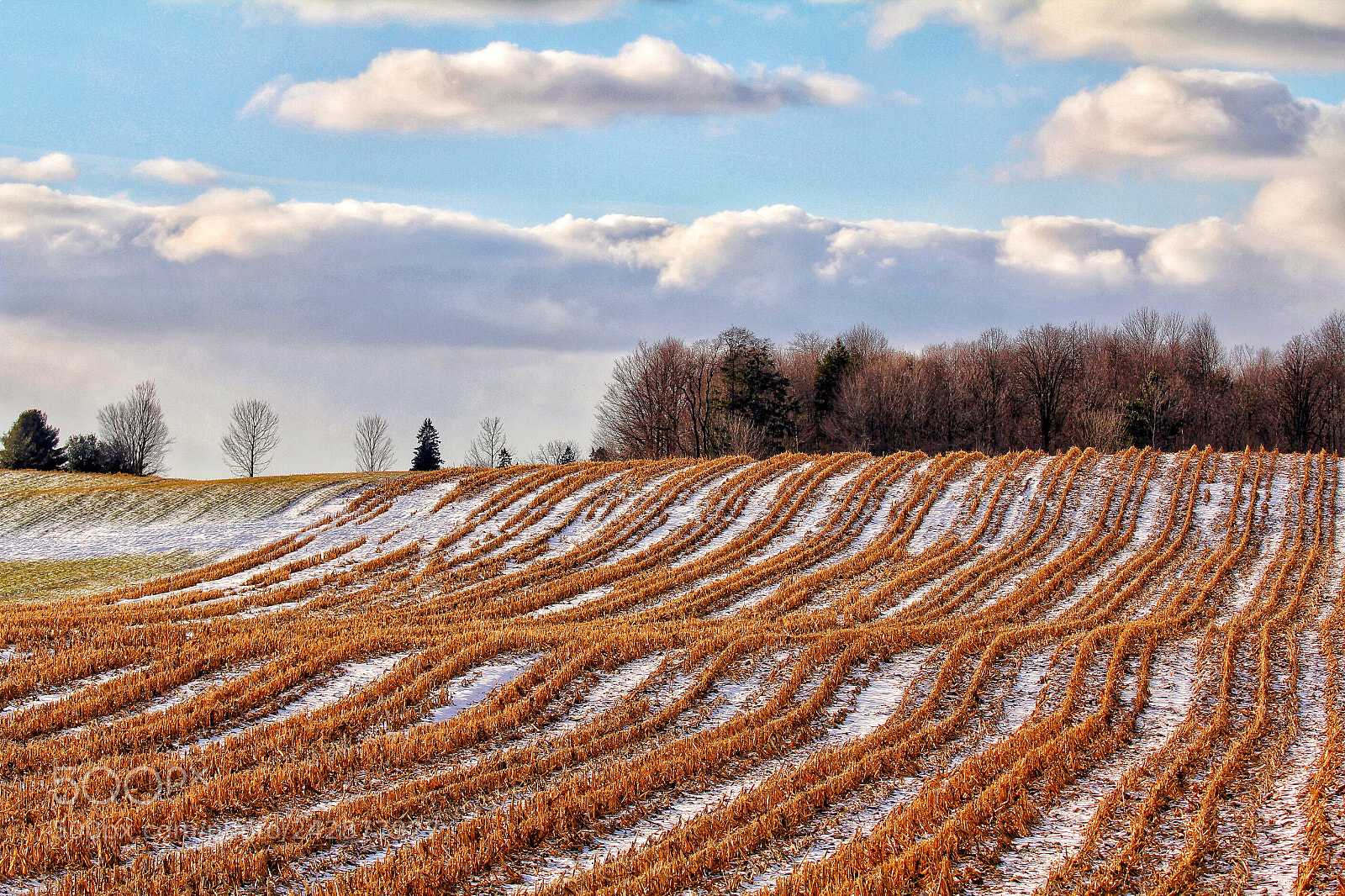 Canon EOS 60D sample photo. Rural scenery photography