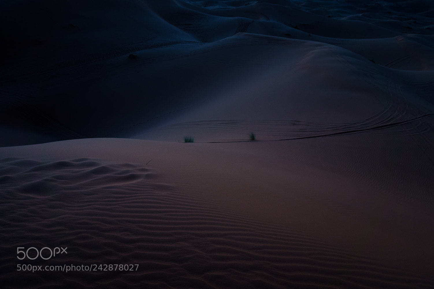 Sony Alpha a5000 (ILCE 5000) sample photo. Sahara iii photography