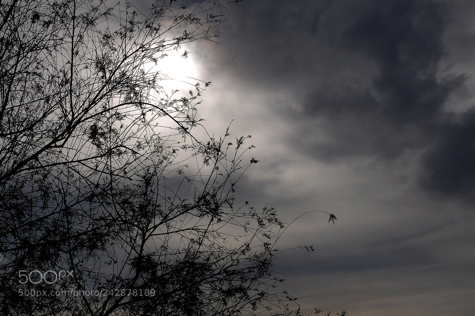 Fujifilm X30 sample photo. Contrast photography