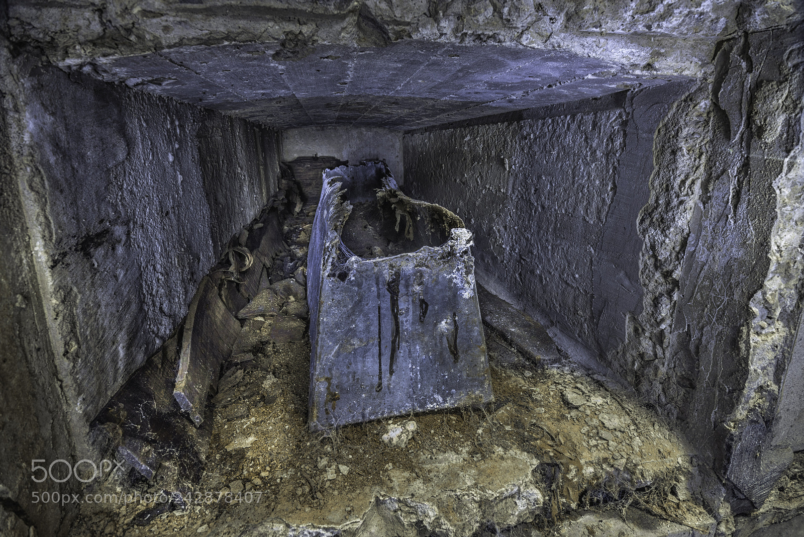 Nikon D810 sample photo. Break free photography