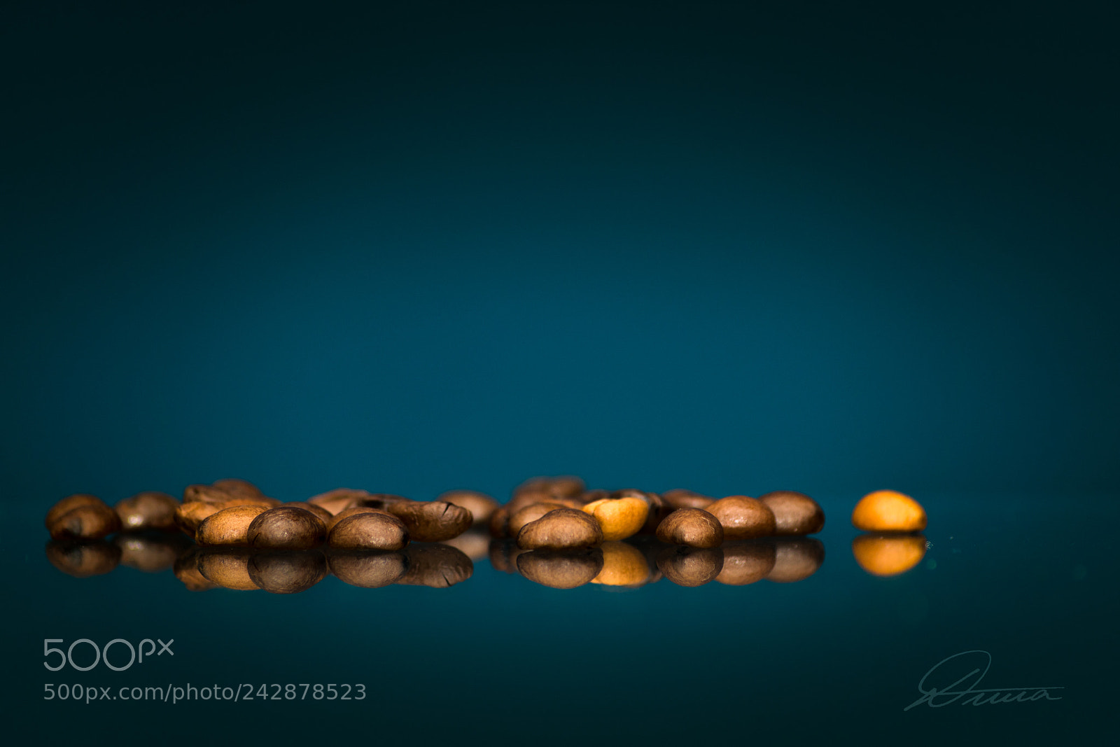Sony ILCA-77M2 sample photo. Coffe time photography