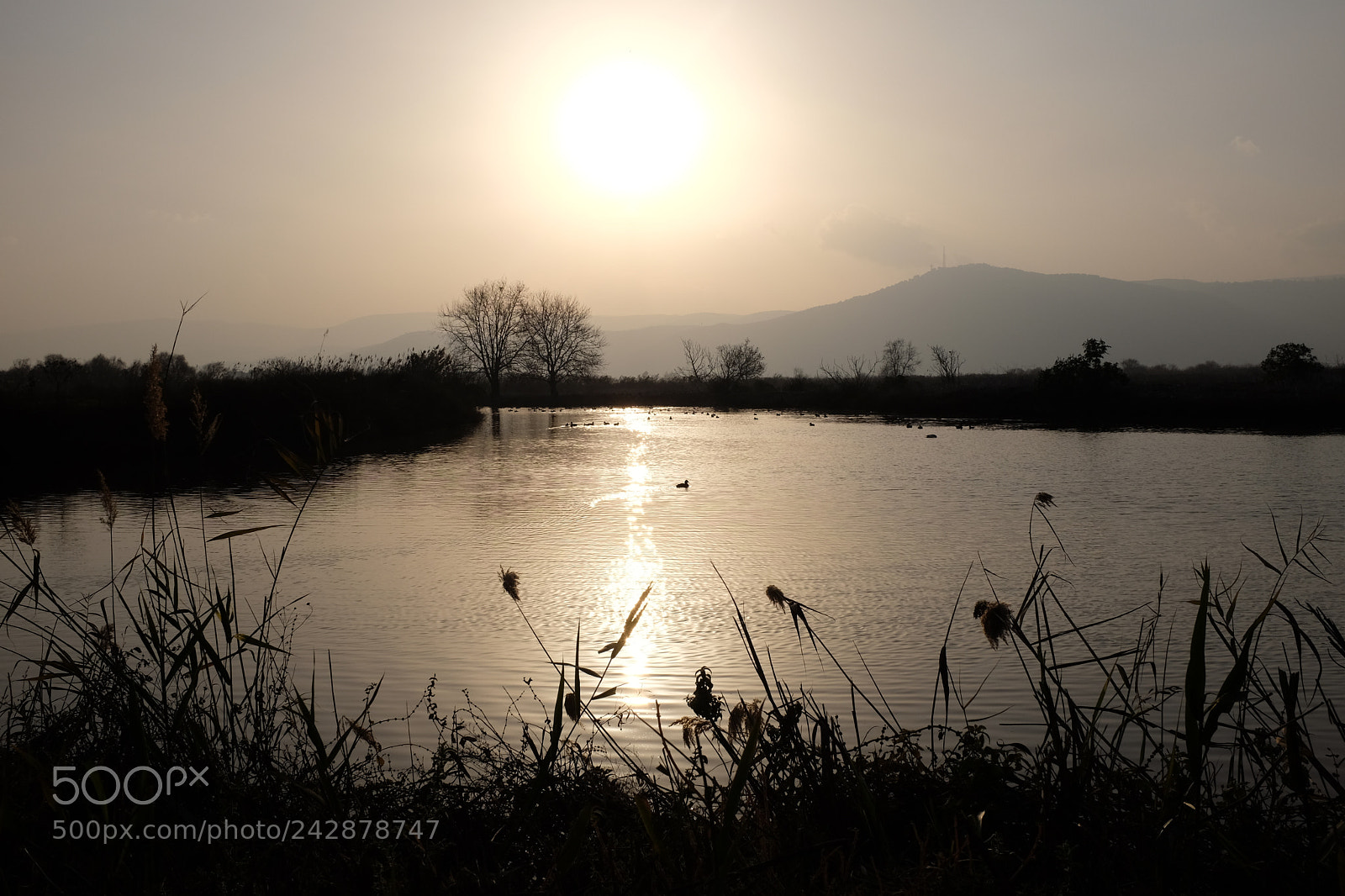 Fujifilm X100T sample photo. Afternoon photography
