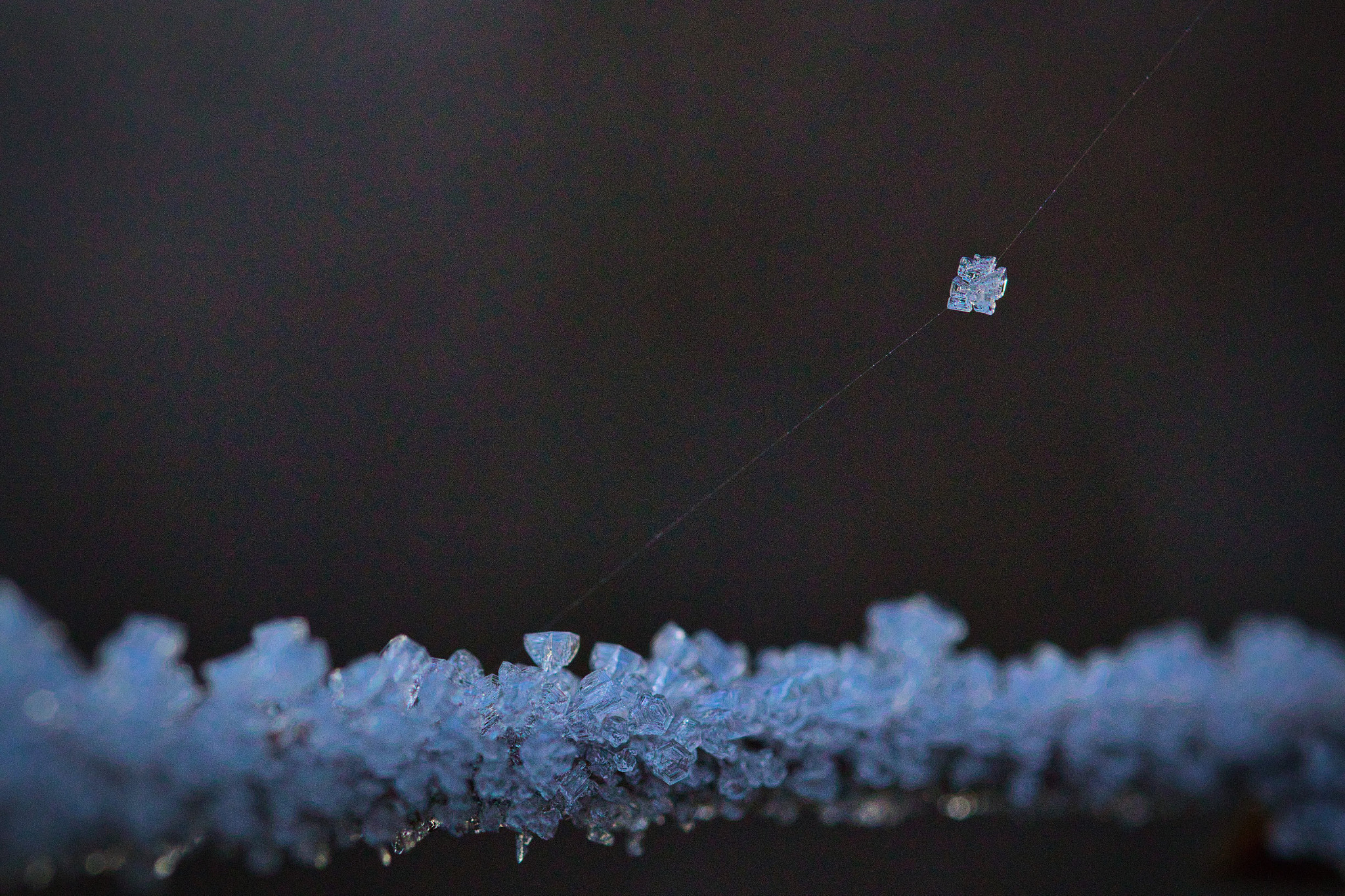 Canon EF-S 35mm F2.8 Macro IS STM sample photo. Ice crystal on cobweb photography