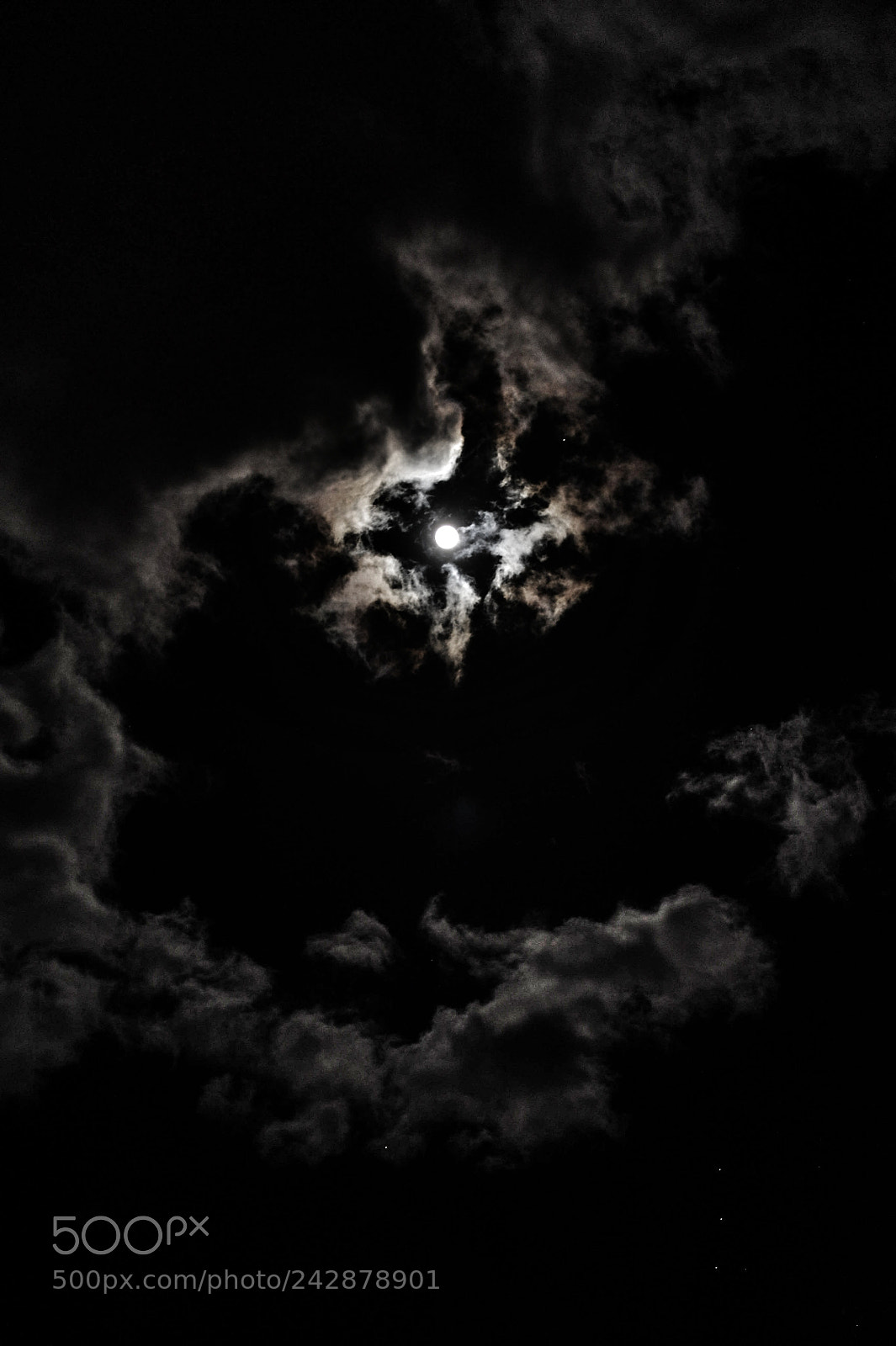 Nikon D700 sample photo. Cloudy moon photography