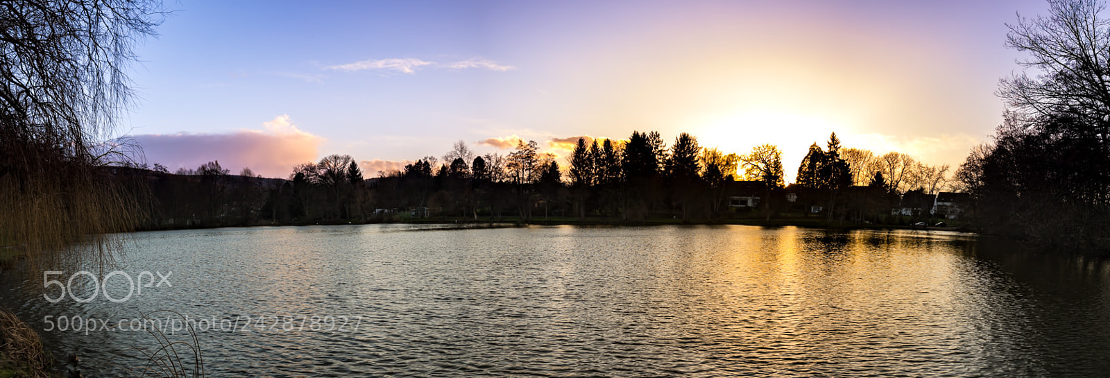 Sony SLT-A58 sample photo. Burning sun photography