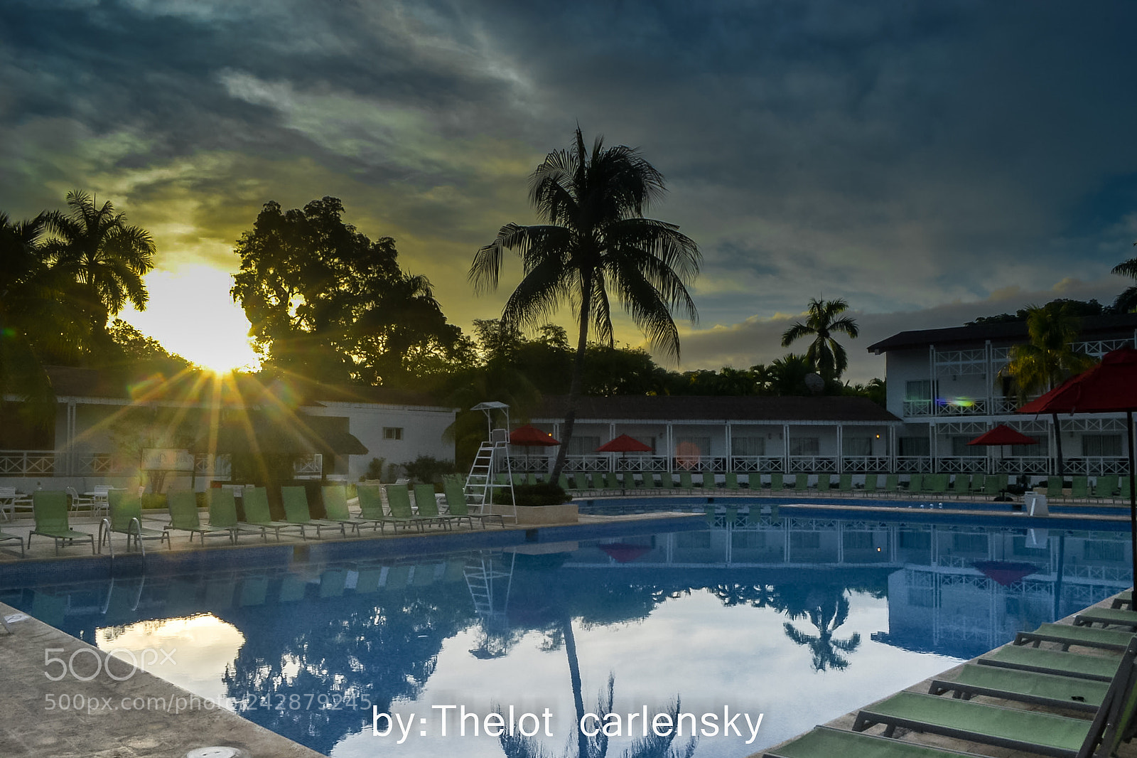 Nikon D3100 sample photo. Untitled photography