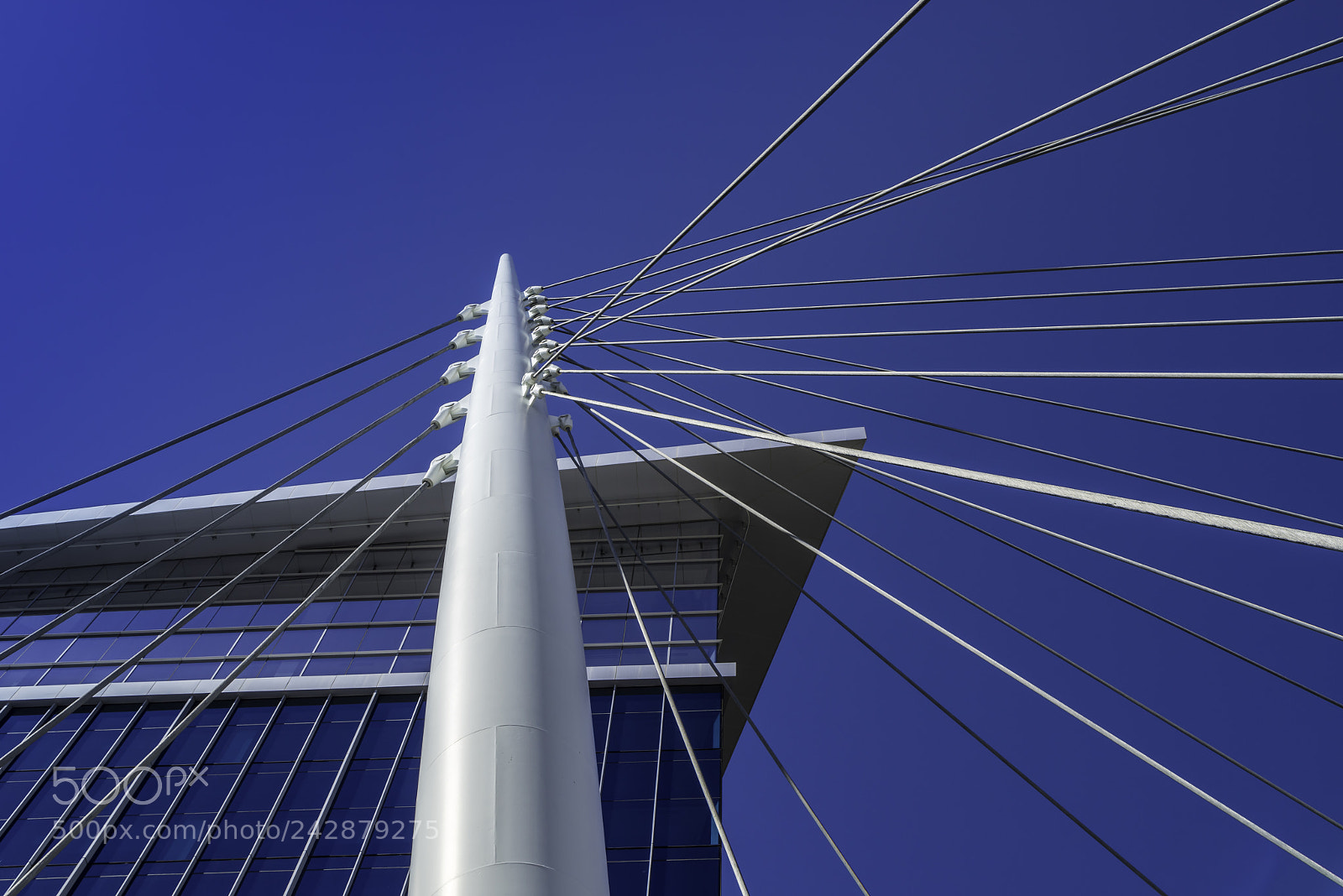 Sony a7R sample photo. Support system photography