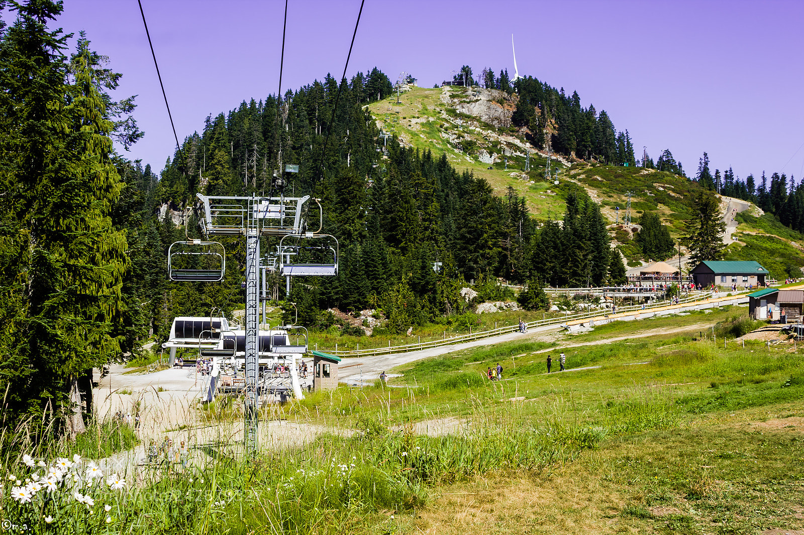 Canon EOS 60D sample photo. Grouse mountain photography