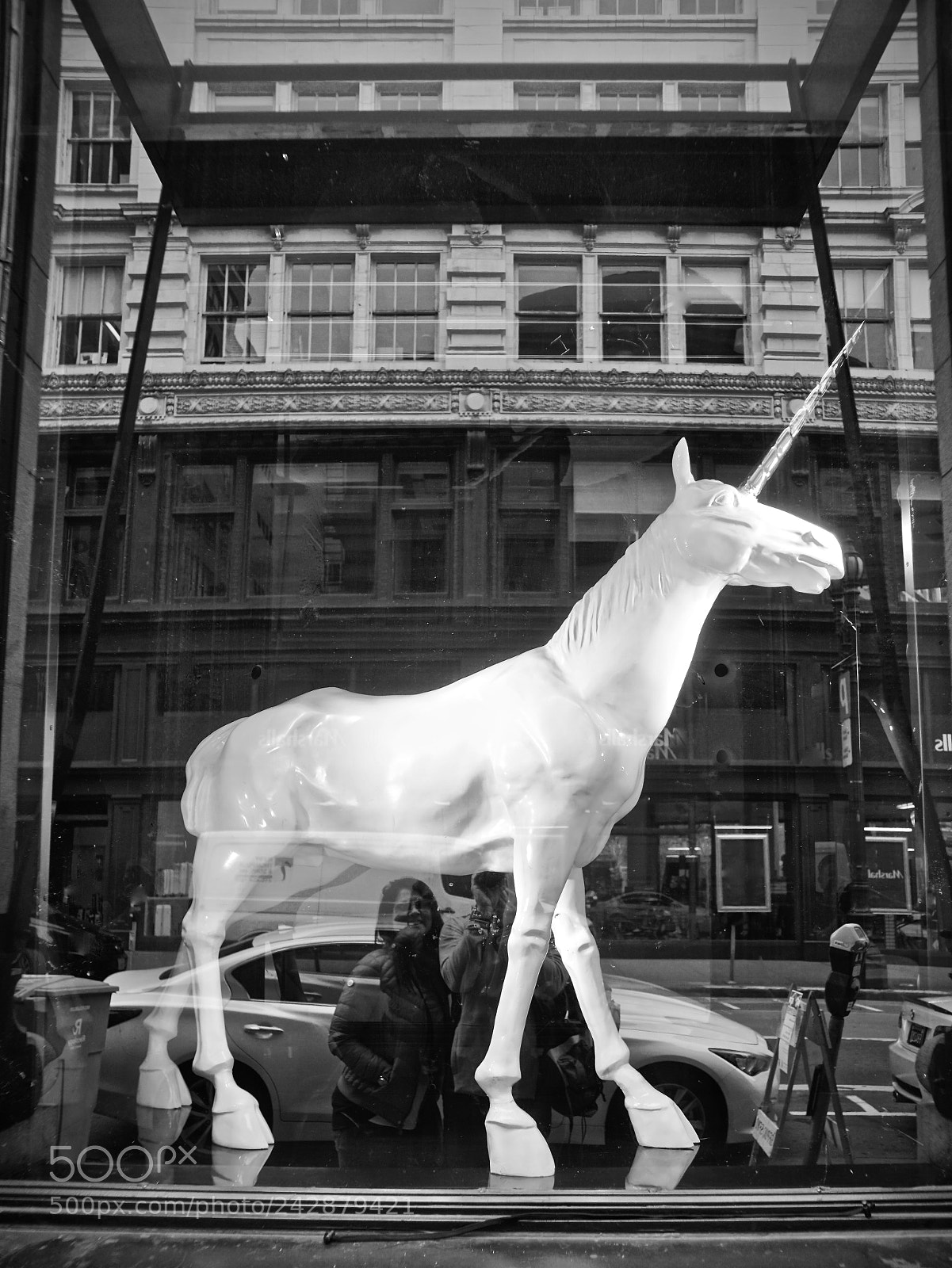 Sony a6300 sample photo. Unicorns are real photography