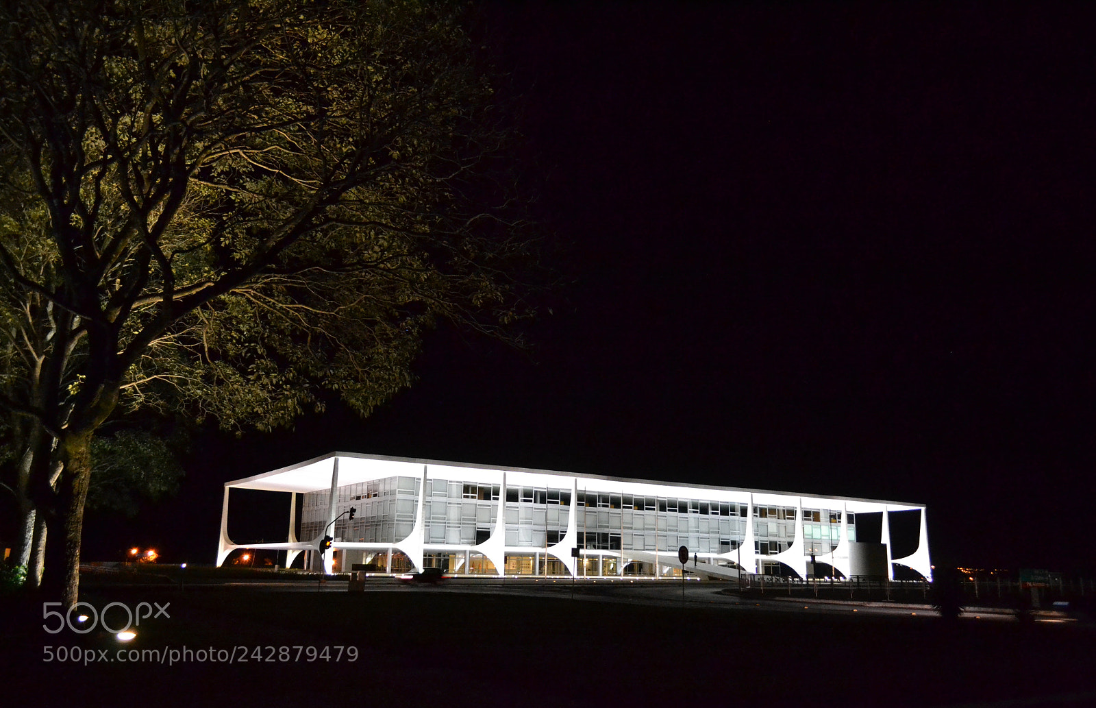Nikon D3100 sample photo. Img photography