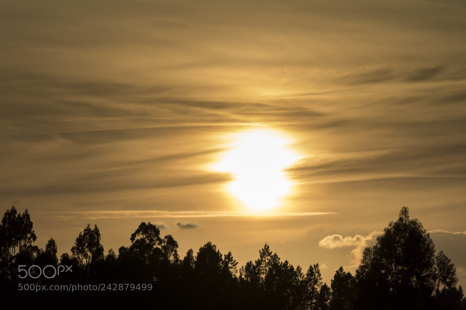 Canon EOS 760D (EOS Rebel T6s / EOS 8000D) sample photo. Fireball photography