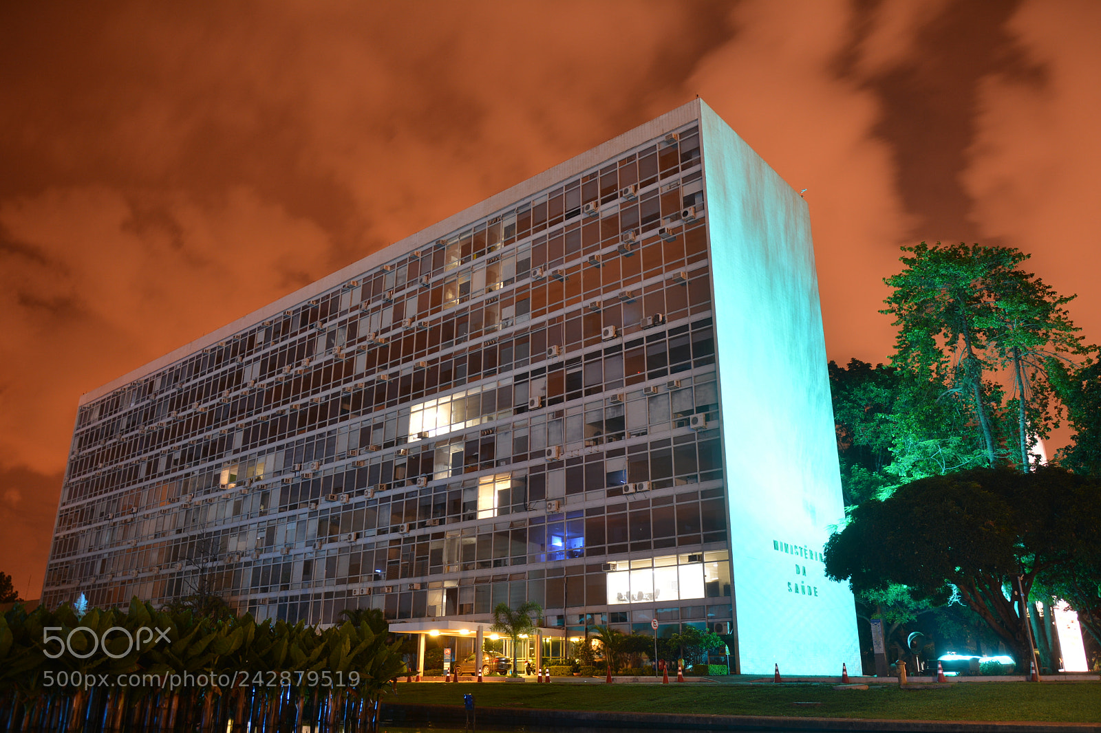 Nikon D7100 sample photo. Img photography