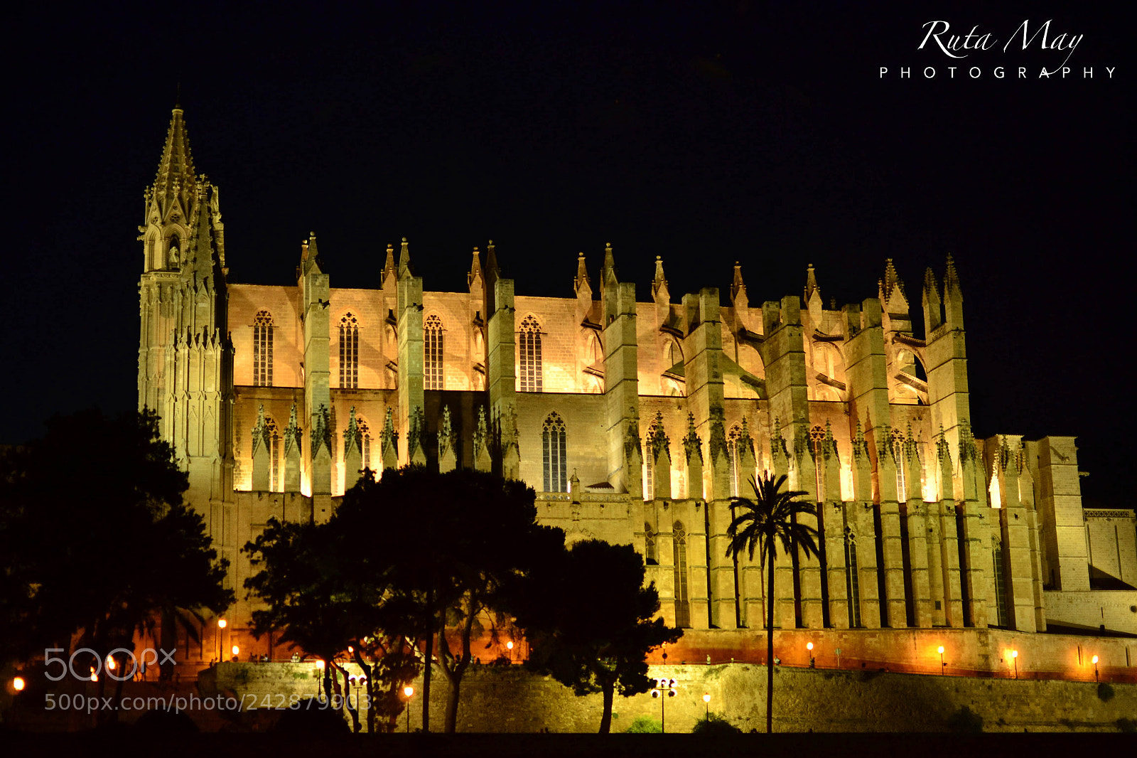 Nikon D3100 sample photo. Palma cathedral photography