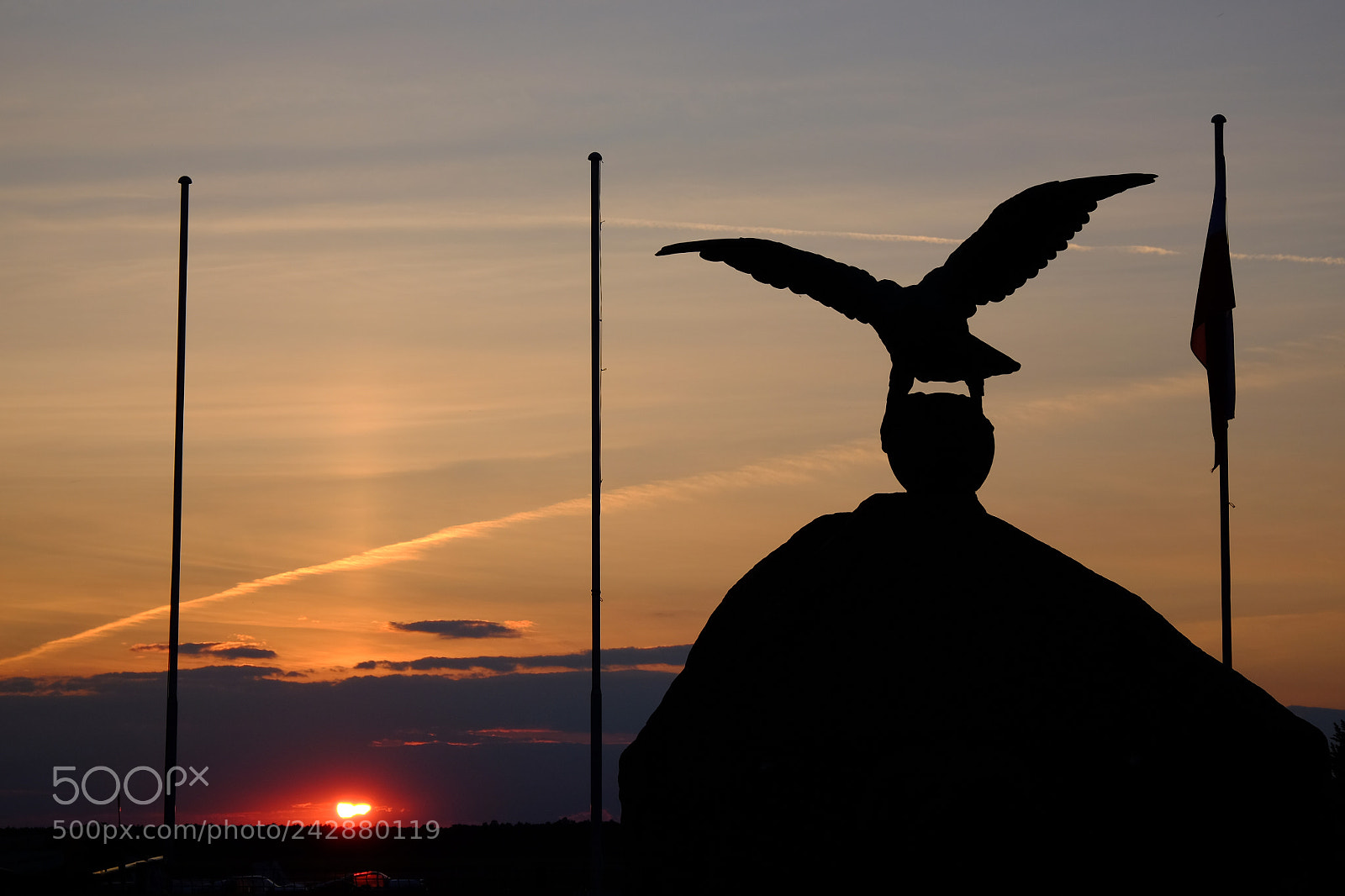 Fujifilm X-T10 sample photo. Eagle photography