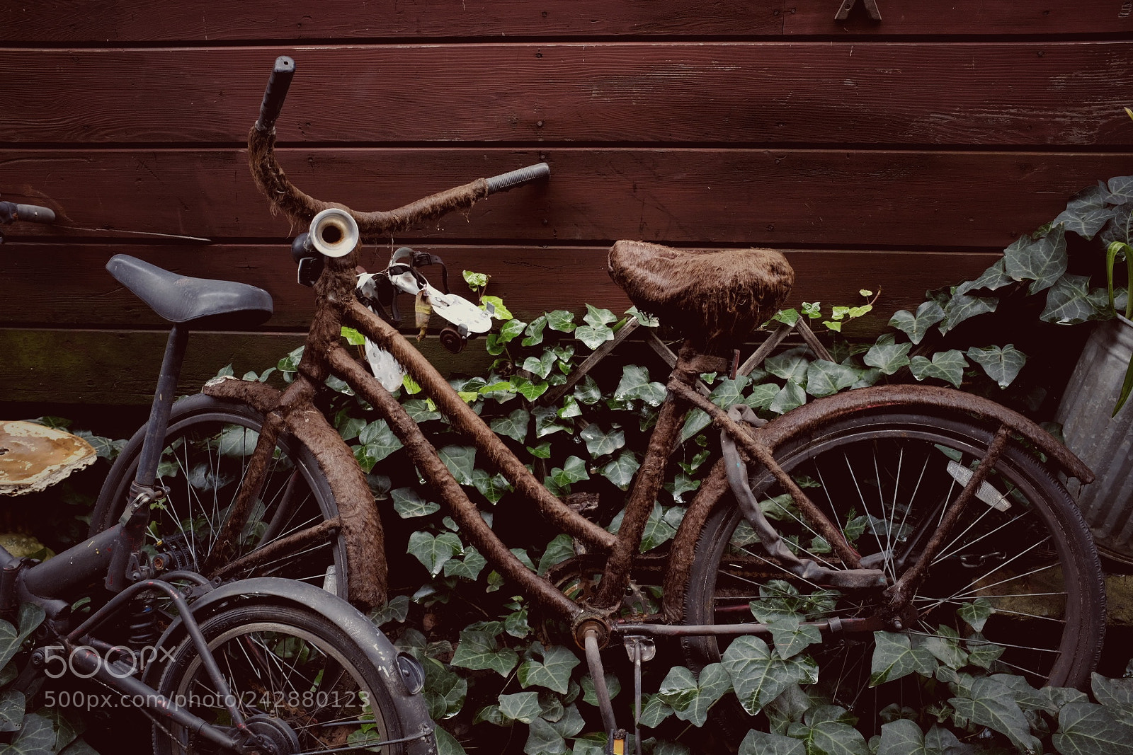 Fujifilm X100F sample photo. Abandoned bicycle photography