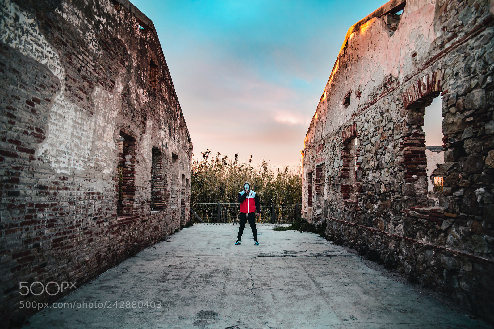 Nikon D610 sample photo. Silence photography