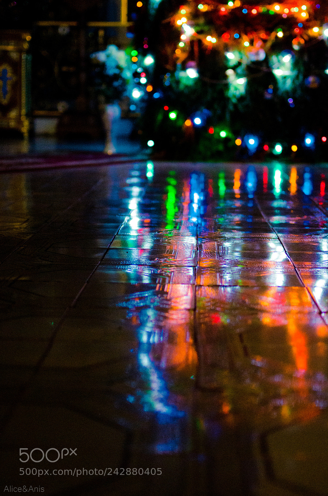 Nikon D5100 sample photo. - photography