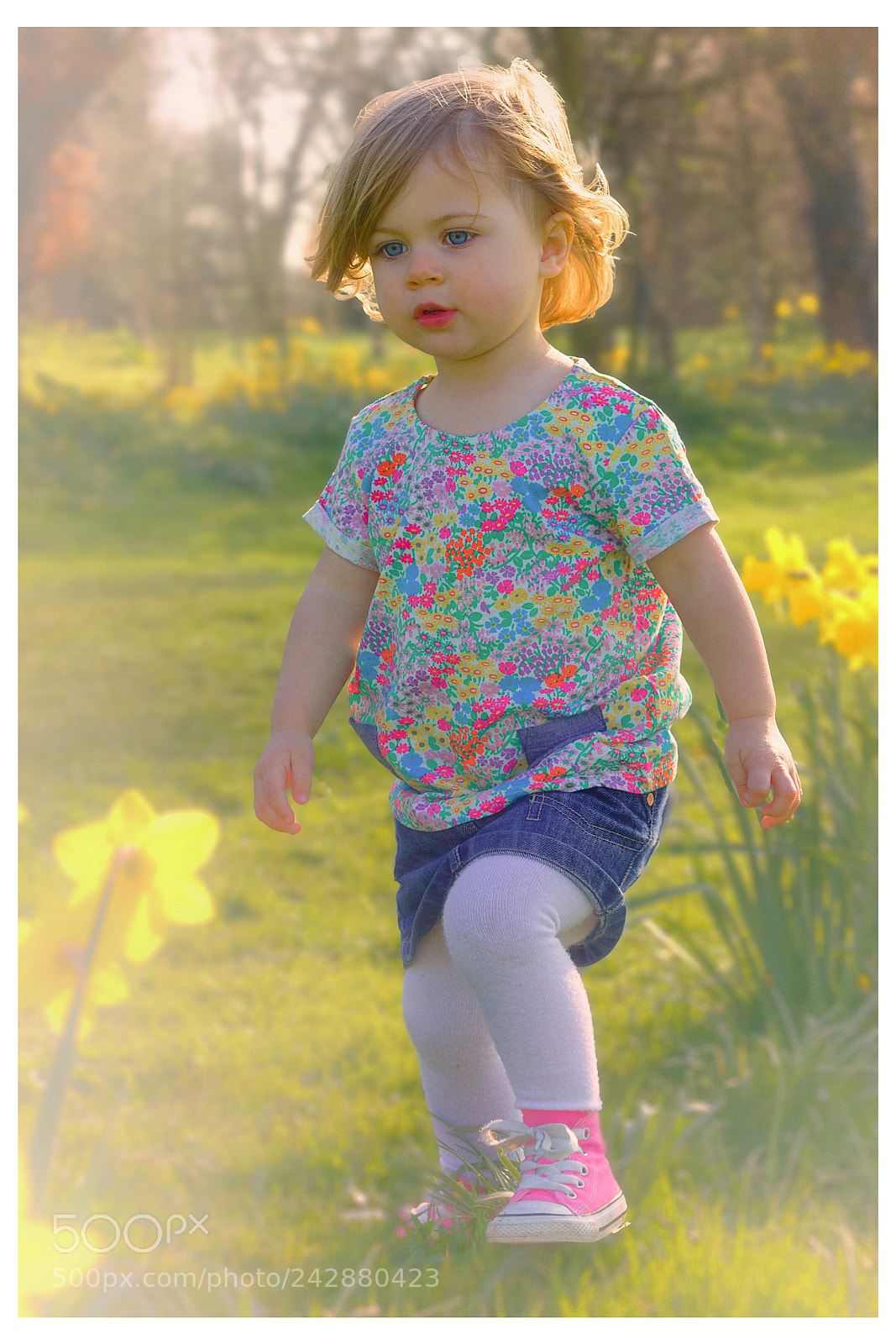 Canon EOS 550D (EOS Rebel T2i / EOS Kiss X4) sample photo. Poppy photography