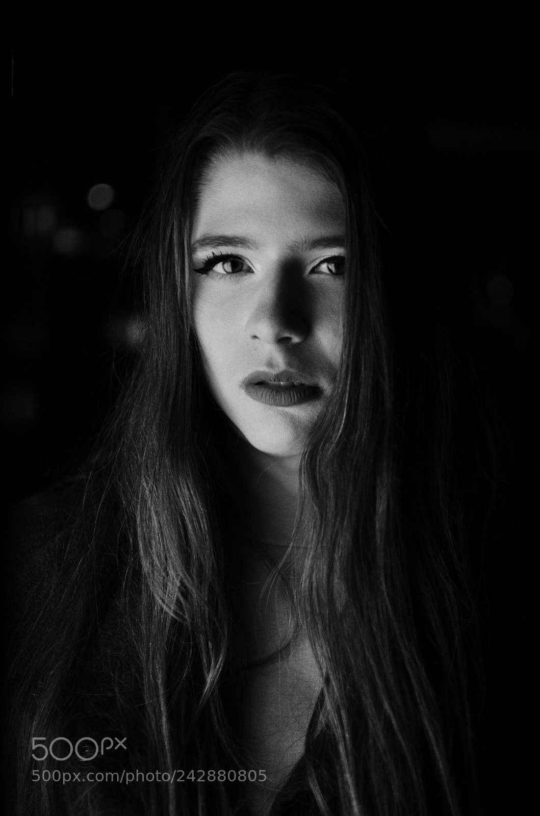 Nikon D5100 sample photo. My secret friend photography