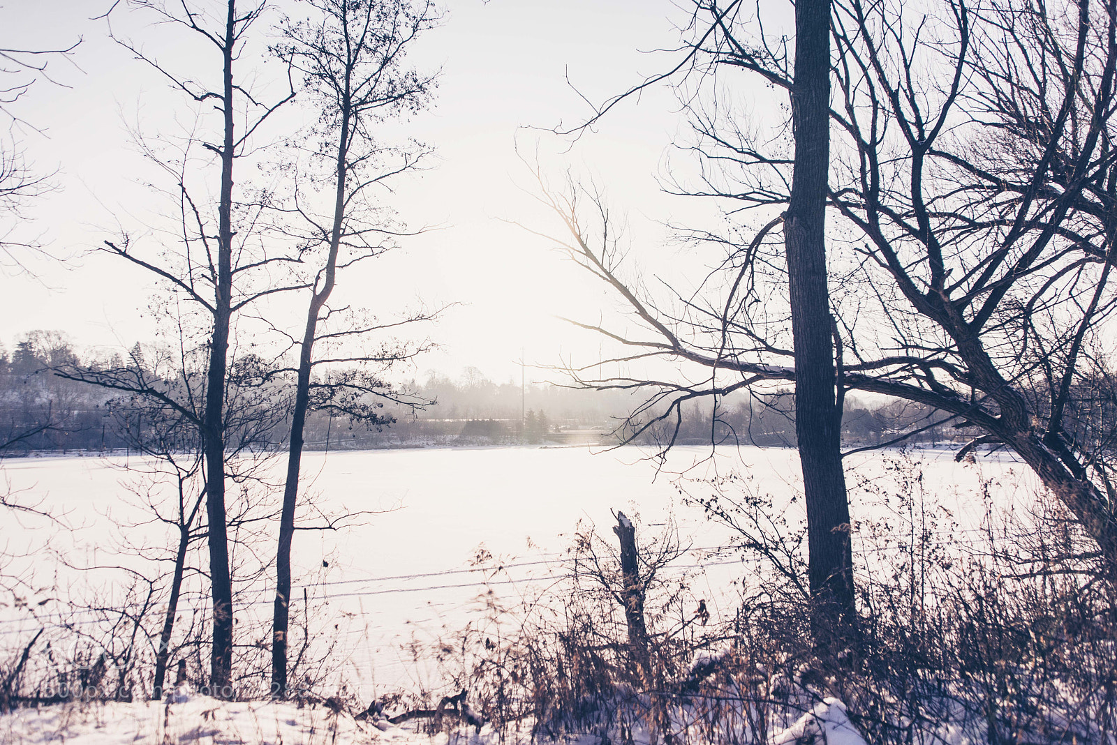 Nikon D610 sample photo. Cootes paradise, winter photography
