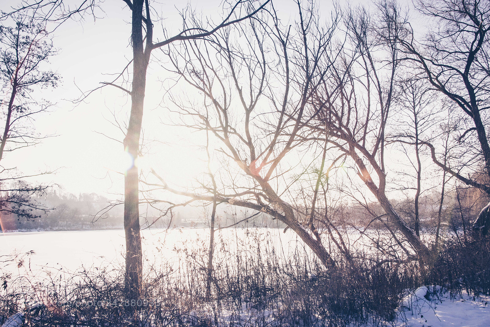 Nikon D610 sample photo. Morning sun photography