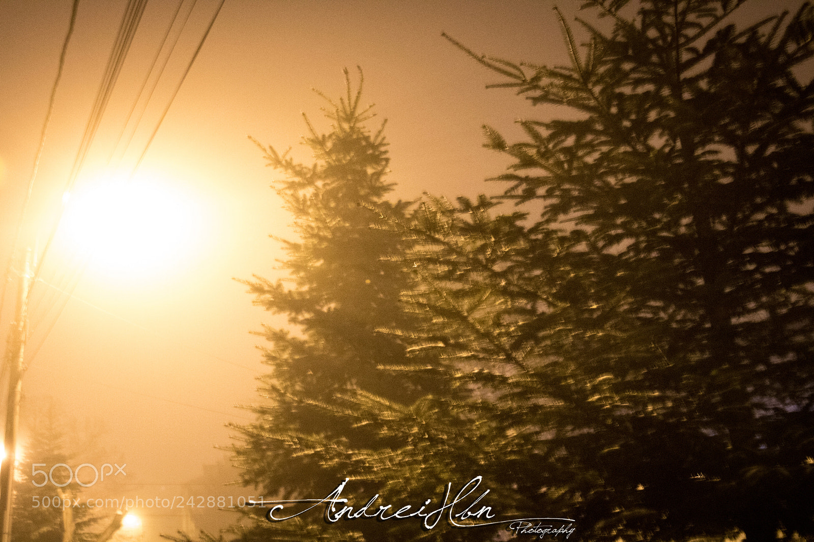 Canon EOS 750D (EOS Rebel T6i / EOS Kiss X8i) sample photo. A walk photography