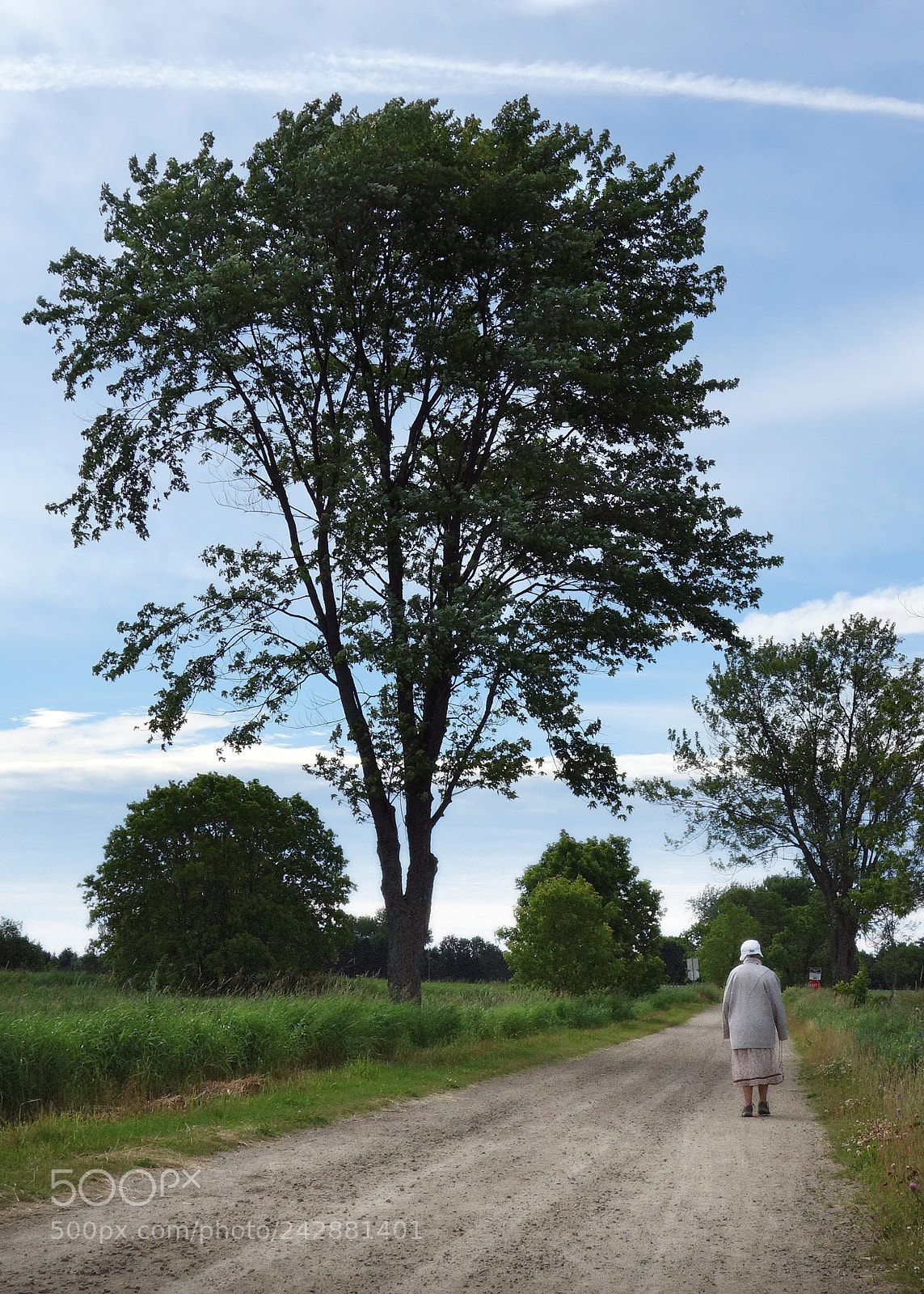 Sony Cyber-shot DSC-RX100 sample photo. Marche et respect photography