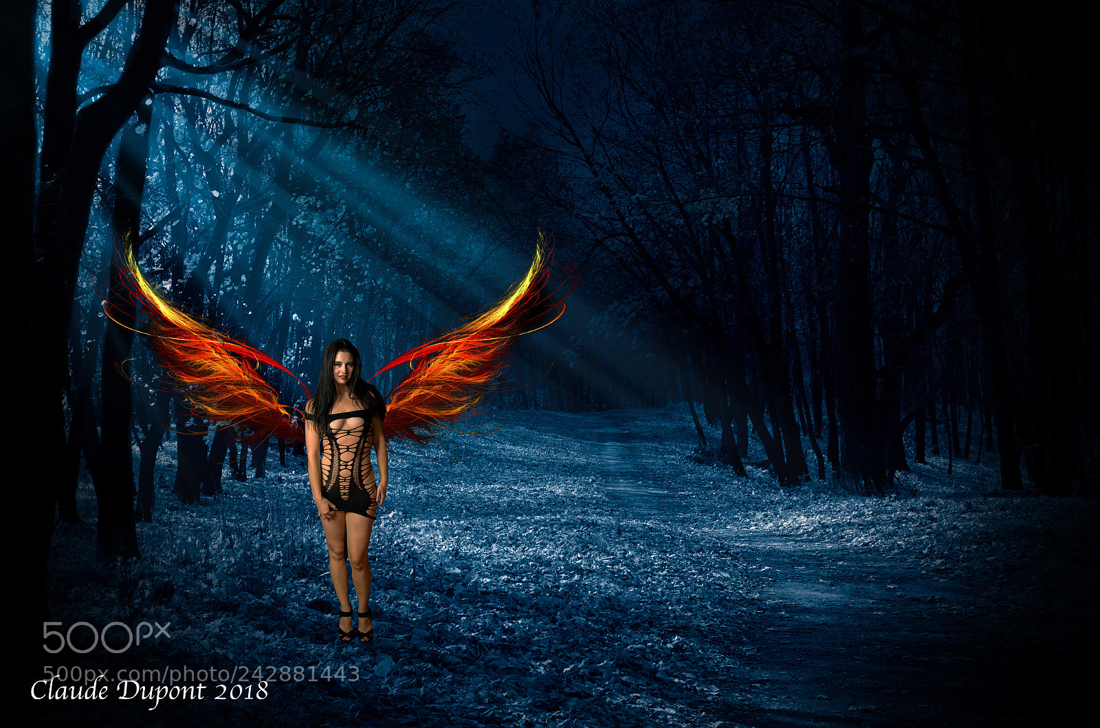 Pentax K-5 sample photo. Fire angel photography