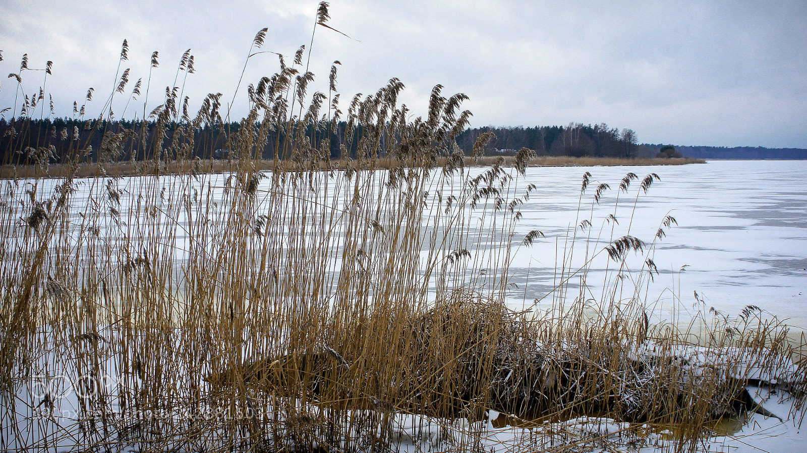 Sony Alpha NEX-5 sample photo. Soon it will snow photography