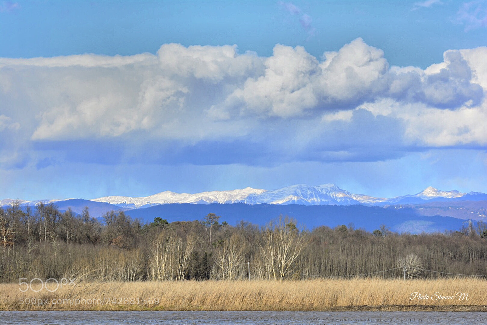 Nikon D7100 sample photo. Untitled photography