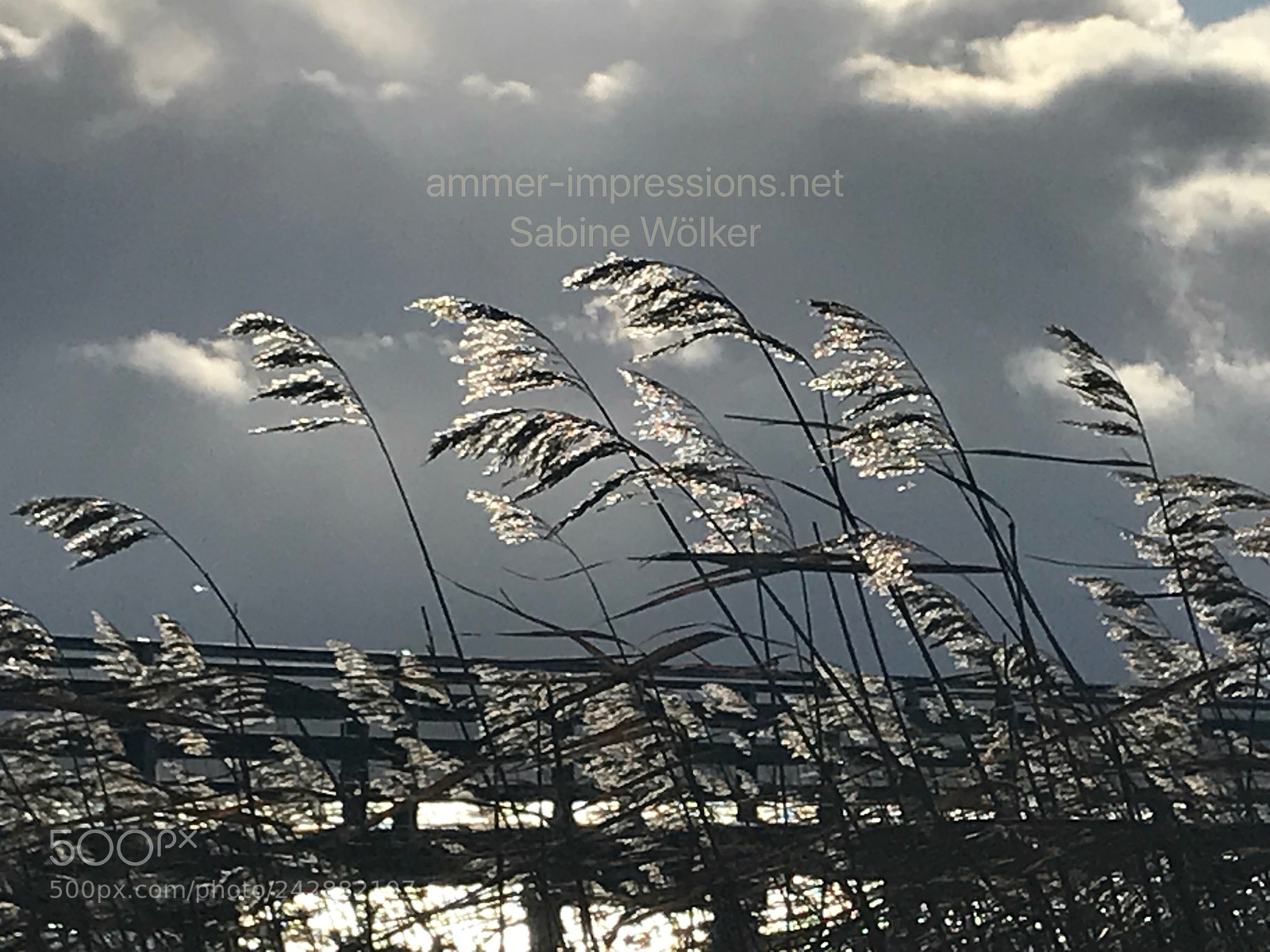 Apple iPhone 7 sample photo. Storm at ammersee photography