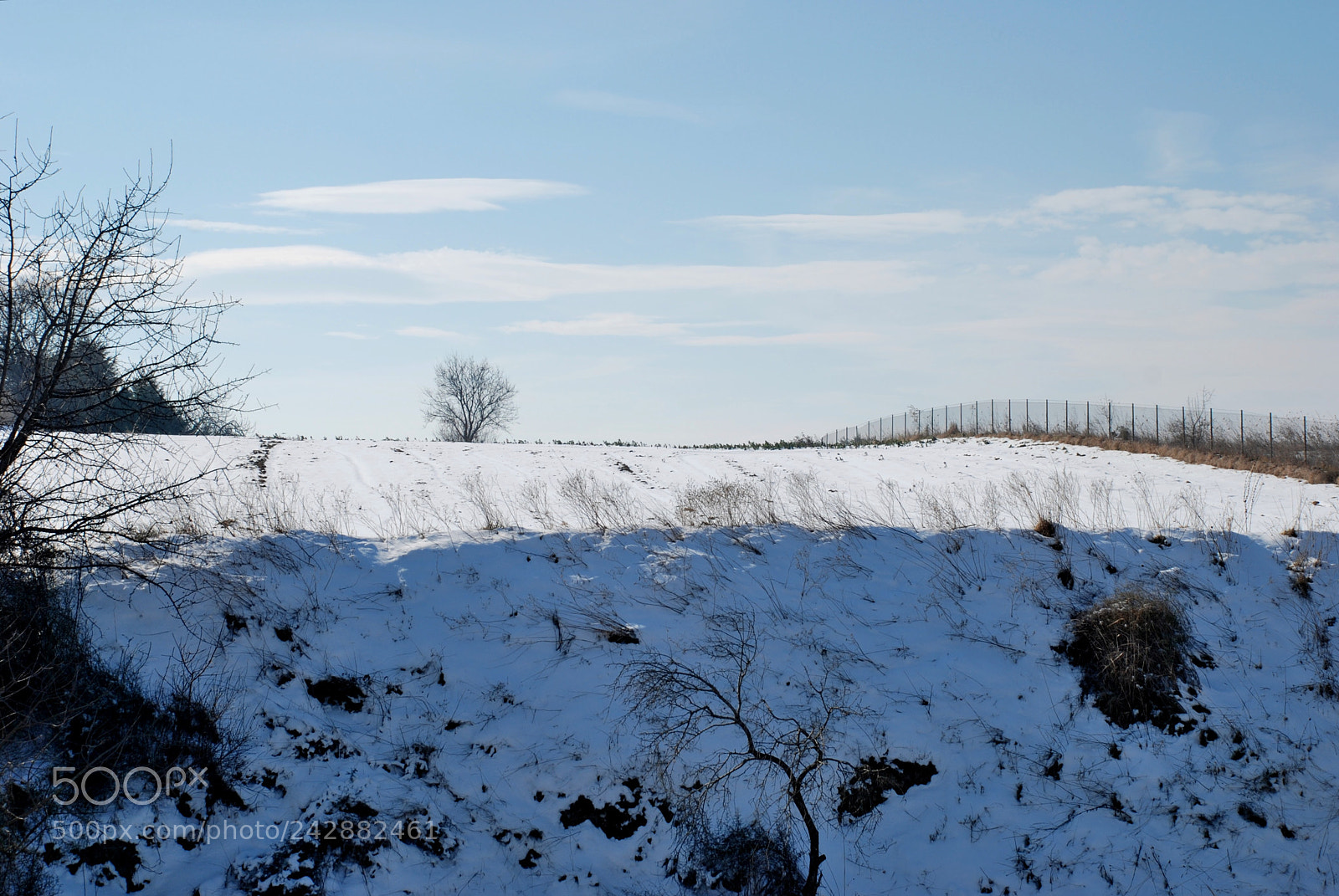 Nikon D80 sample photo. Untitled photography