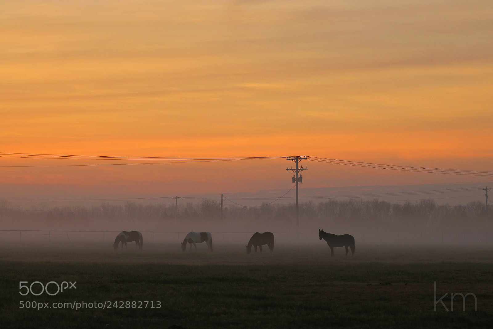 Canon EOS 750D (EOS Rebel T6i / EOS Kiss X8i) sample photo. Silence in the fog photography