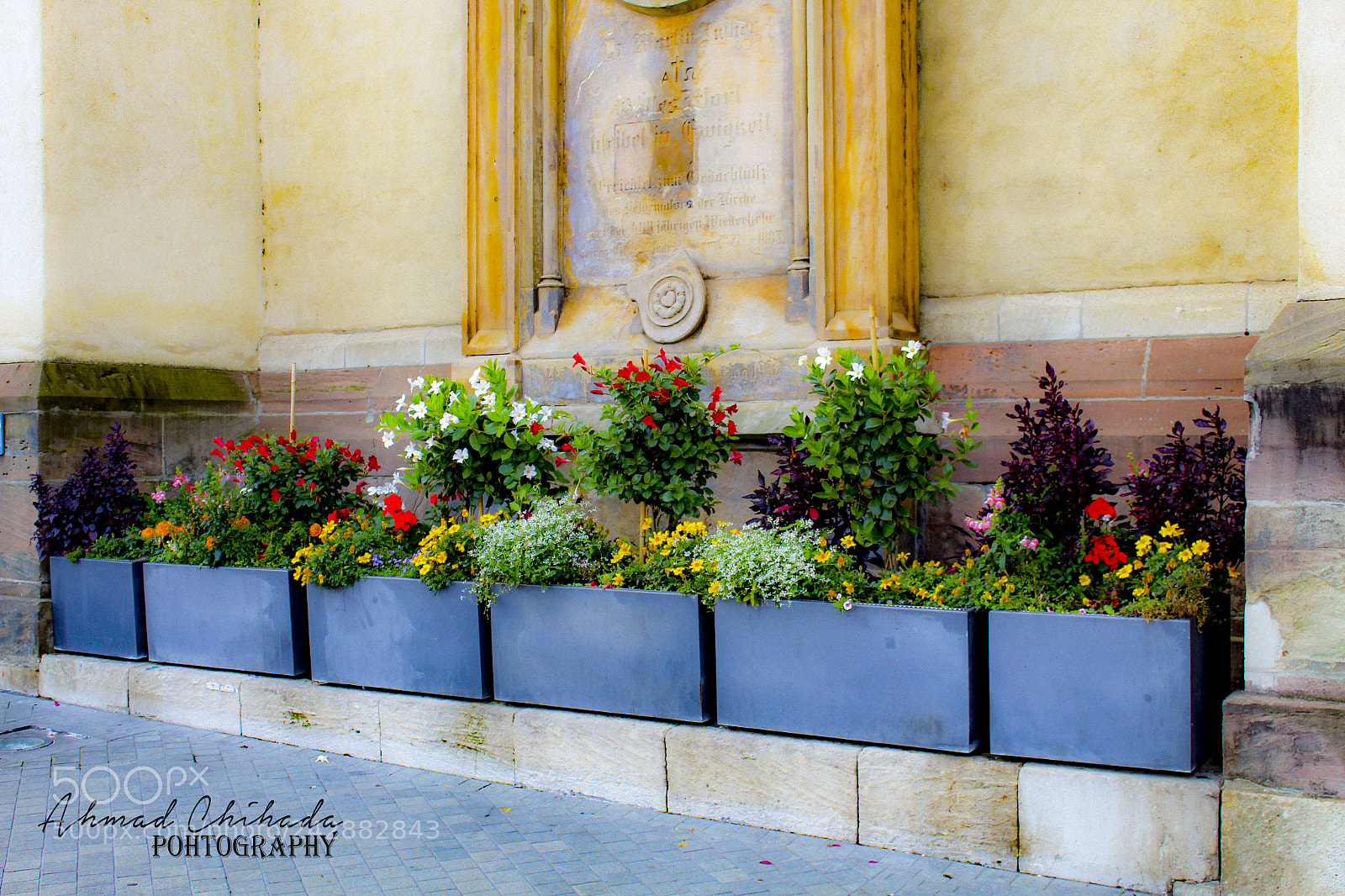 Canon EOS 1300D (EOS Rebel T6 / EOS Kiss X80) sample photo. Untitled photography