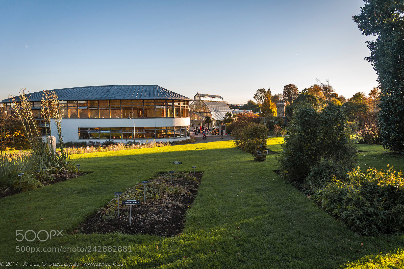 Nikon D90 sample photo. 2017 botanic garden, dublin photography
